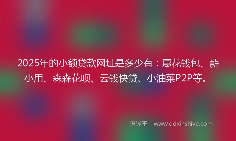 2025年的小额贷款网址是多少有：惠花钱包、薪小用、森森花呗、云钱快贷、小油菜P2P等。