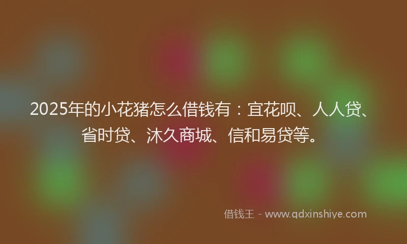2025年的小花猪怎么借钱有：宜花呗、人人贷、省时贷、沐久商城、信和易贷等。