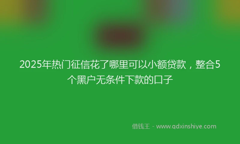 2025年热门征信花了哪里可以小额贷款，整合5个黑户无条件下款的口子