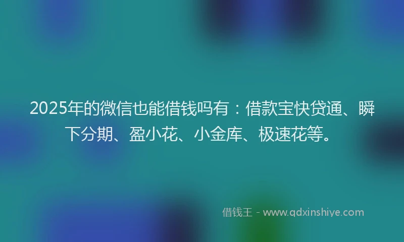 2025年的微信也能借钱吗有：借款宝快贷通、瞬下分期、盈小花、小金库、极速花等。