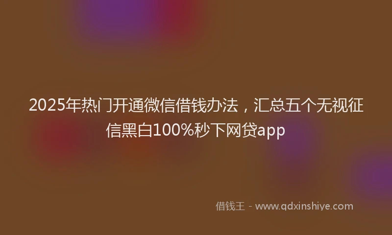 2025年热门开通微信借钱办法，汇总五个无视征信黑白100%秒下网贷app