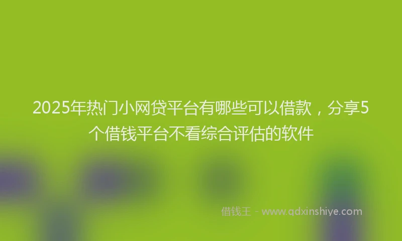 2025年热门小网贷平台有哪些可以借款，分享5个借钱平台不看综合评估的软件