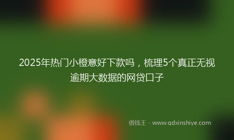 2025年热门小橙意好下款吗，梳理5个真正无视逾期大数据的网贷口子