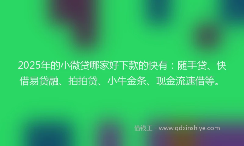 2025年的小微贷哪家好下款的快有：随手贷、快借易贷融、拍拍贷、小牛金条、现金流速借等。
