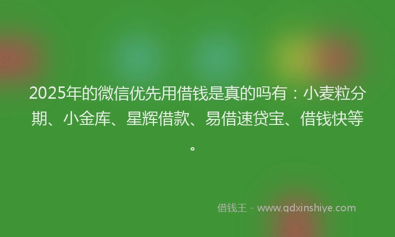 2025年的微信优先用借钱是真的吗有：小麦粒分期、小金库、星辉借款、易借速贷宝、借钱快等。