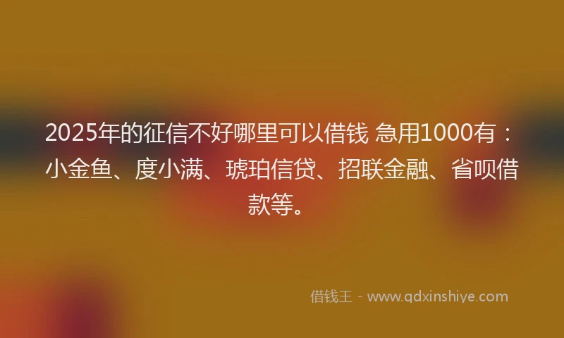 2025年的征信不好哪里可以借钱 急用1000有：小金鱼、度小满、琥珀信贷、招联金融、省呗借款等。