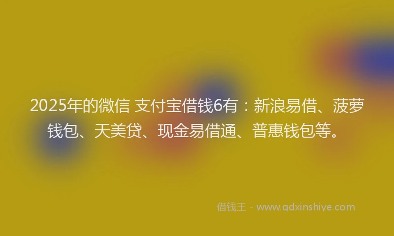 2025年的微信 支付宝借钱6有：新浪易借、菠萝钱包、天美贷、现金易借通、普惠钱包等。