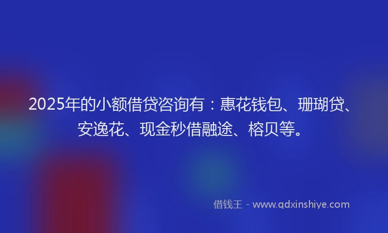 2025年的小额借贷咨询有：惠花钱包、珊瑚贷、安逸花、现金秒借融途、榕贝等。