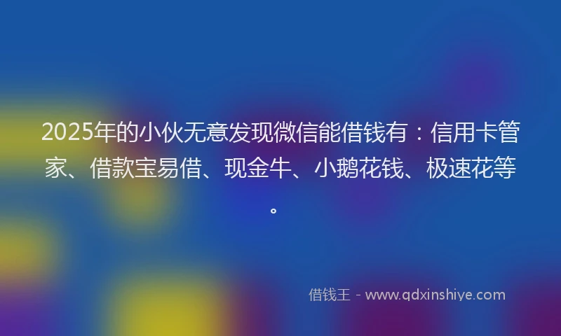 2025年的小伙无意发现微信能借钱有：信用卡管家、借款宝易借、现金牛、小鹅花钱、极速花等。