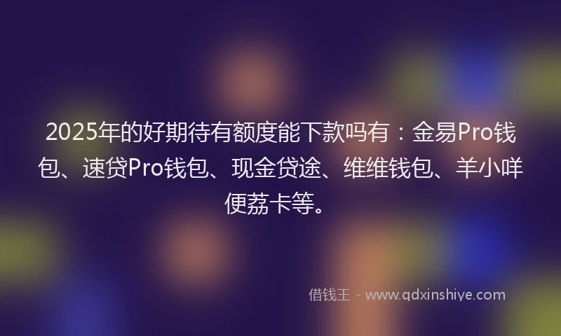 2025年的好期待有额度能下款吗有：金易Pro钱包、速贷Pro钱包、现金贷途、维维钱包、羊小咩便荔卡等。