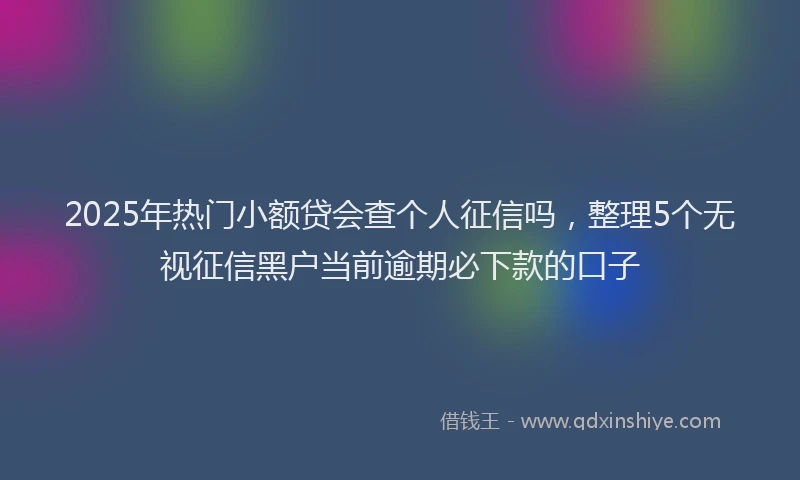 2025年热门小额贷会查个人征信吗，整理5个无视征信黑户当前逾期必下款的口子