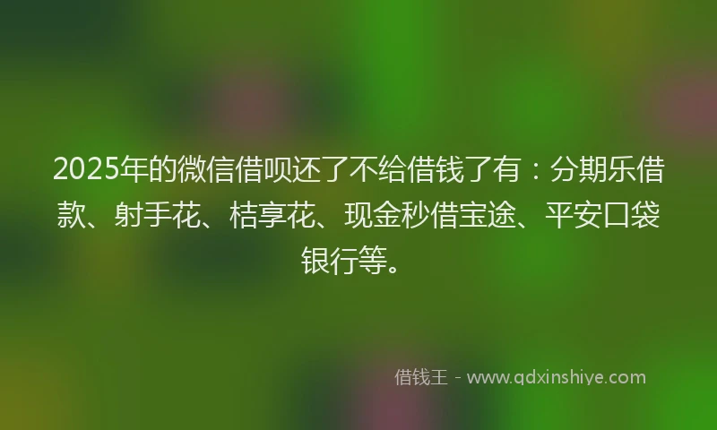 2025年的微信借呗还了不给借钱了有：分期乐借款、射手花、桔享花、现金秒借宝途、平安口袋银行等。