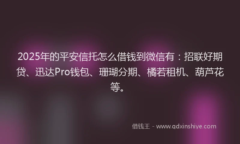 2025年的平安信托怎么借钱到微信有：招联好期贷、迅达Pro钱包、珊瑚分期、橘若租机、葫芦花等。
