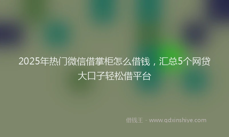 2025年热门微信借掌柜怎么借钱，汇总5个网贷大口子轻松借平台