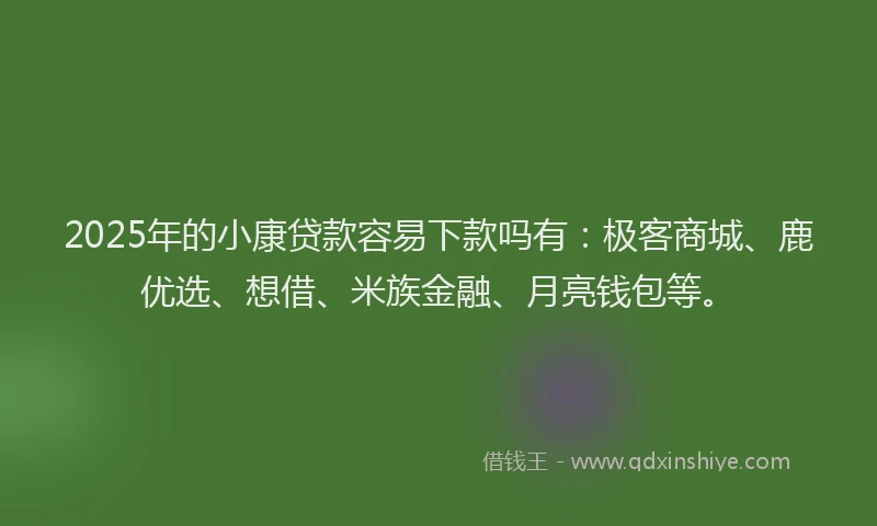 2025年的小康贷款容易下款吗有：极客商城、鹿优选、想借、米族金融、月亮钱包等。