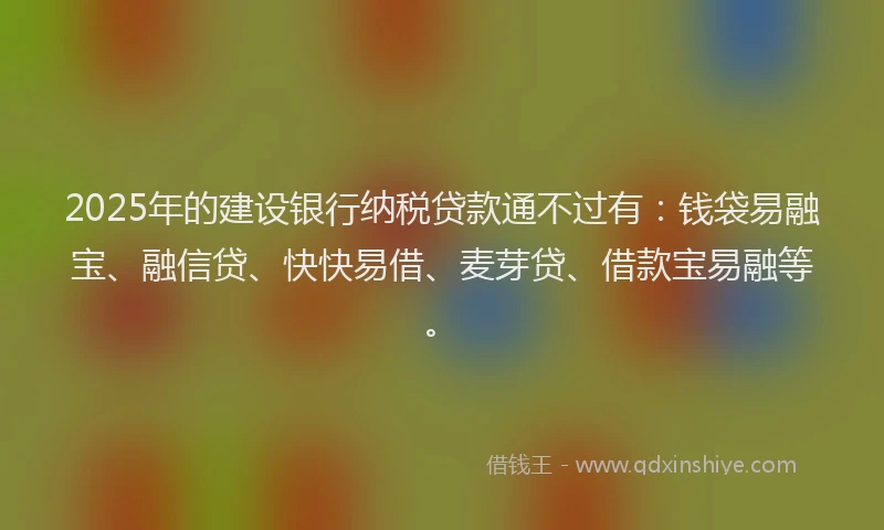 2025年的建设银行纳税贷款通不过有：钱袋易融宝、融信贷、快快易借、麦芽贷、借款宝易融等。