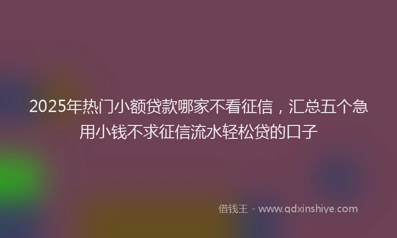 2025年热门小额贷款哪家不看征信，汇总五个急用小钱不求征信流水轻松贷的口子