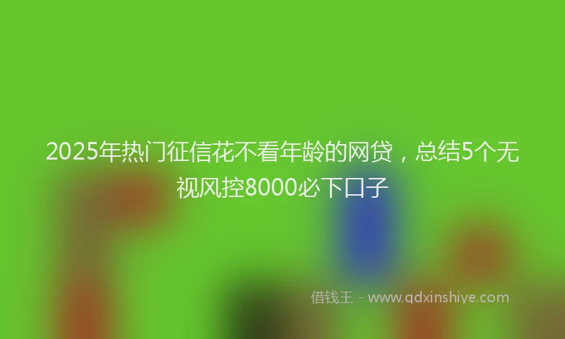 2025年热门征信花不看年龄的网贷，总结5个无视风控8000必下口子