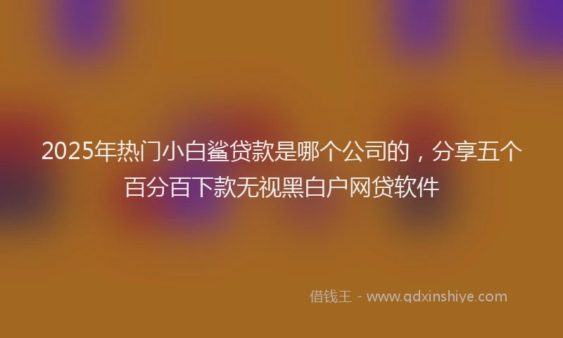 2025年热门小白鲨贷款是哪个公司的，分享五个百分百下款无视黑白户网贷软件