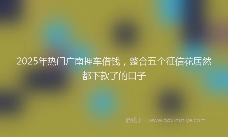 2025年热门广南押车借钱，整合五个征信花居然都下款了的口子