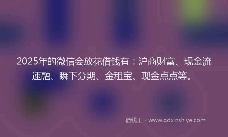 2025年的微信会放花借钱有：沪商财富、现金流速融、瞬下分期、金租宝、现金点点等。