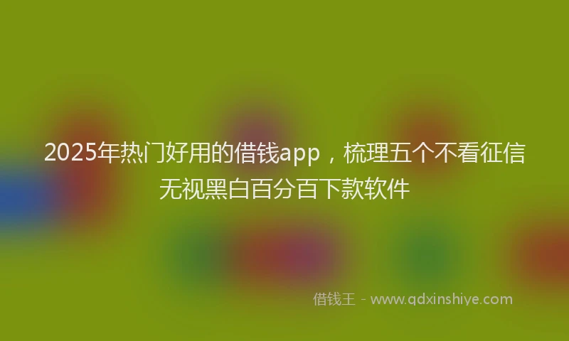 2025年热门好用的借钱app，梳理五个不看征信无视黑白百分百下款软件
