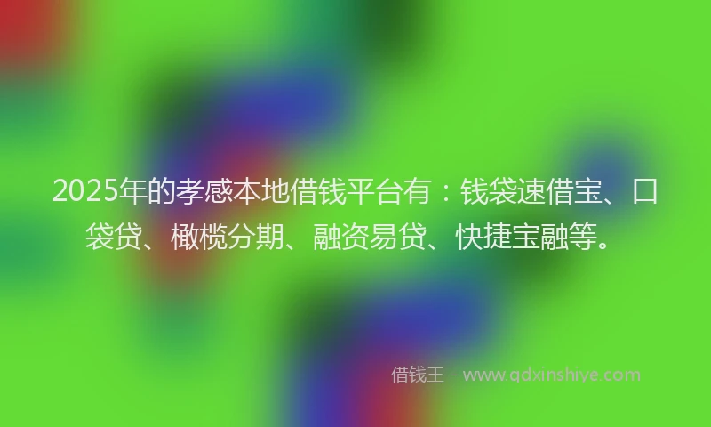 2025年的孝感本地借钱平台有：钱袋速借宝、口袋贷、橄榄分期、融资易贷、快捷宝融等。