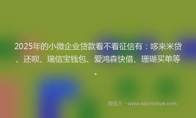 2025年的小微企业贷款看不看征信有：哆来米贷、还呗、瑞信宝钱包、爱鸿森快借、珊瑚买单等。