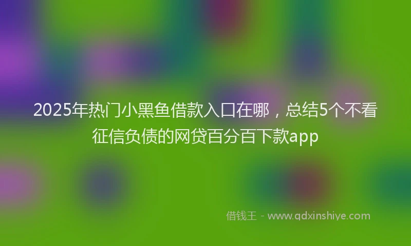 2025年热门小黑鱼借款入口在哪，总结5个不看征信负债的网贷百分百下款app