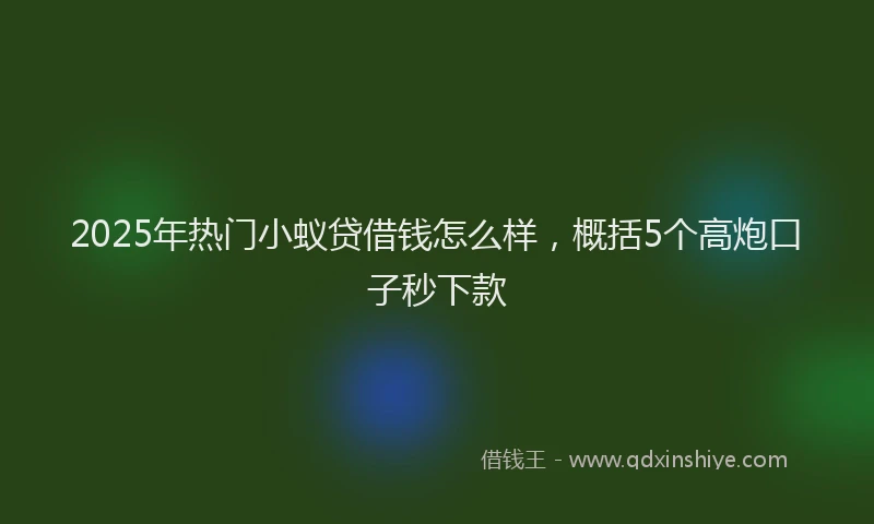 2025年热门小蚁贷借钱怎么样，概括5个高炮口子秒下款