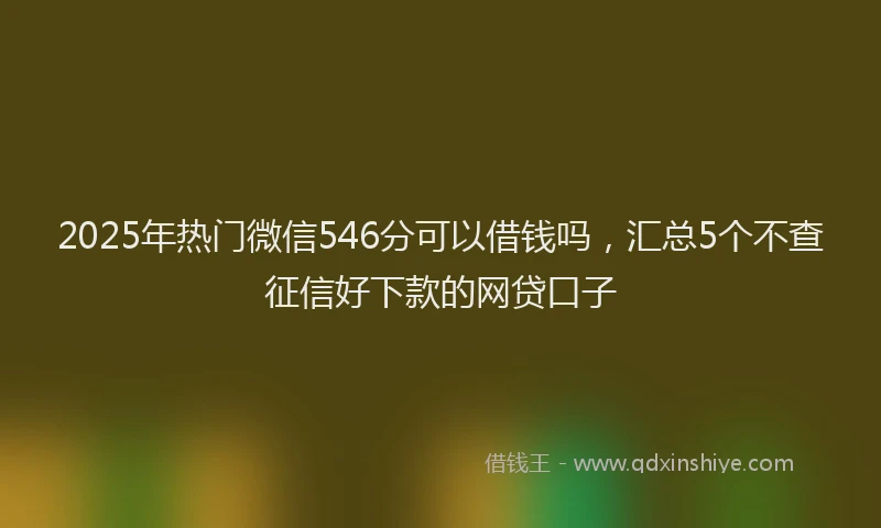 2025年热门微信546分可以借钱吗，汇总5个不查征信好下款的网贷口子