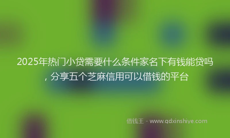 2025年热门小贷需要什么条件家名下有钱能贷吗，分享五个芝麻信用可以借钱的平台