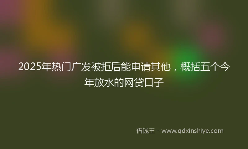2025年热门广发被拒后能申请其他，概括五个今年放水的网贷口子