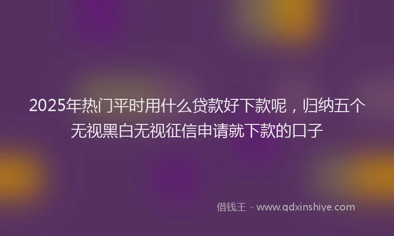 2025年热门平时用什么贷款好下款呢，归纳五个无视黑白无视征信申请就下款的口子