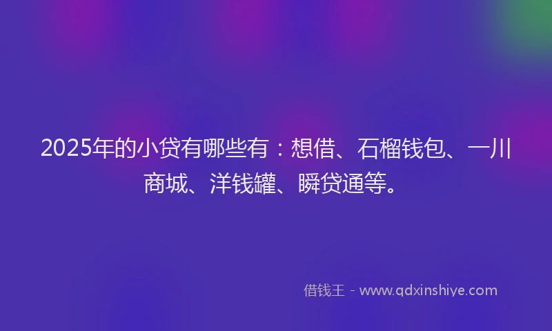 2025年的小贷有哪些有：想借、石榴钱包、一川商城、洋钱罐、瞬贷通等。