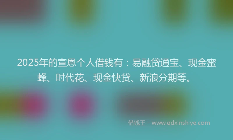2025年的宣恩个人借钱有：易融贷通宝、现金蜜蜂、时代花、现金快贷、新浪分期等。