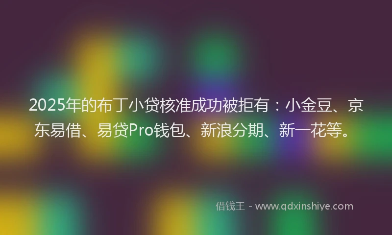 2025年的布丁小贷核准成功被拒有：小金豆、京东易借、易贷Pro钱包、新浪分期、新一花等。
