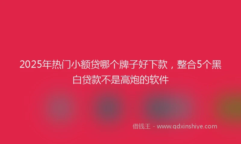 2025年热门小额贷哪个牌子好下款，整合5个黑白贷款不是高炮的软件