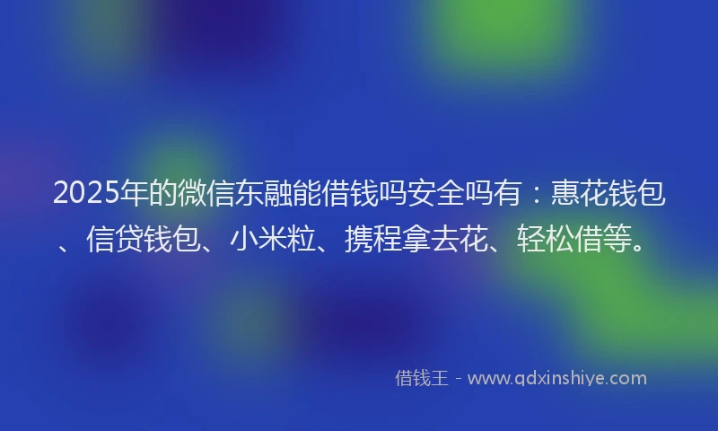 2025年的微信东融能借钱吗安全吗有：惠花钱包、信贷钱包、小米粒、携程拿去花、轻松借等。