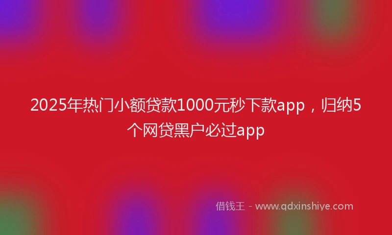 2025年热门小额贷款1000元秒下款app，归纳5个网贷黑户必过app