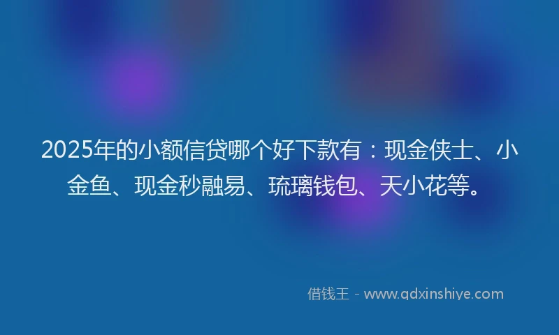 2025年的小额信贷哪个好下款有：现金侠士、小金鱼、现金秒融易、琉璃钱包、天小花等。
