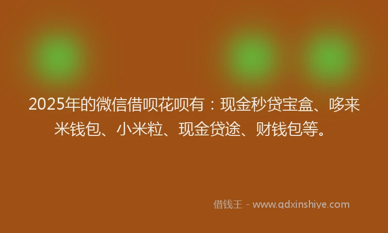 2025年的微信借呗花呗有：现金秒贷宝盒、哆来米钱包、小米粒、现金贷途、财钱包等。