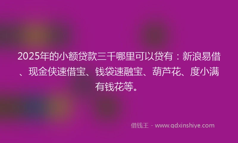 2025年的小额贷款三千哪里可以贷有：新浪易借、现金侠速借宝、钱袋速融宝、葫芦花、度小满有钱花等。