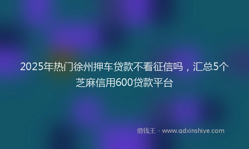 2025年热门徐州押车贷款不看征信吗，汇总5个芝麻信用600贷款平台