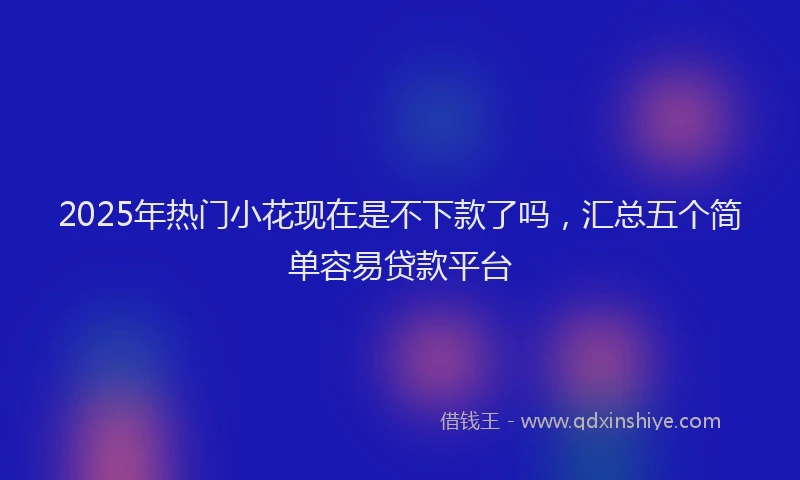 2025年热门小花现在是不下款了吗，汇总五个简单容易贷款平台