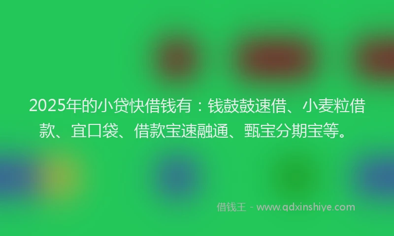 2025年的小贷快借钱有：钱鼓鼓速借、小麦粒借款、宜口袋、借款宝速融通、甄宝分期宝等。