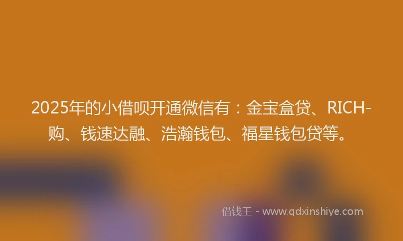 2025年的小借呗开通微信有：金宝盒贷、RICH-购、钱速达融、浩瀚钱包、福星钱包贷等。