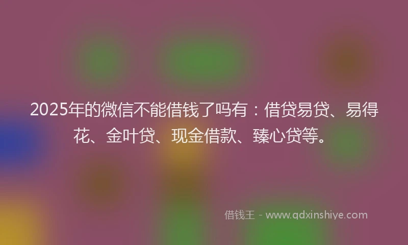 2025年的微信不能借钱了吗有：借贷易贷、易得花、金叶贷、现金借款、臻心贷等。