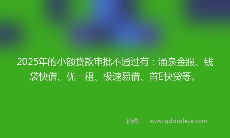 2025年的小额贷款审批不通过有：涌泉金服、钱袋快借、优一租、极速易借、首E快贷等。