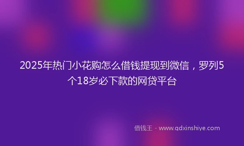 2025年热门小花购怎么借钱提现到微信，罗列5个18岁必下款的网贷平台